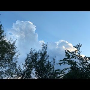 Meet your Posher, Shanaya